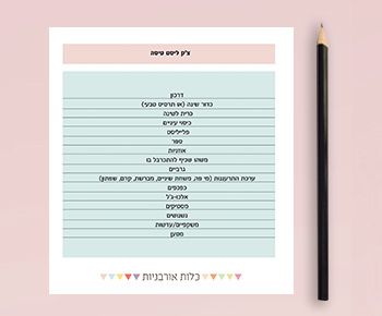 הצ׳ק ליסט המושלם לטיסה