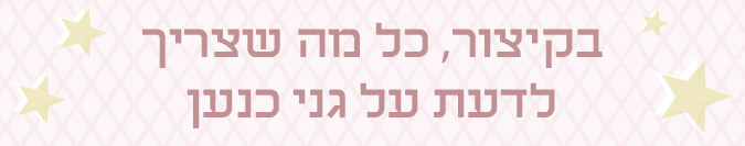 כל מה שצריך לדעת על