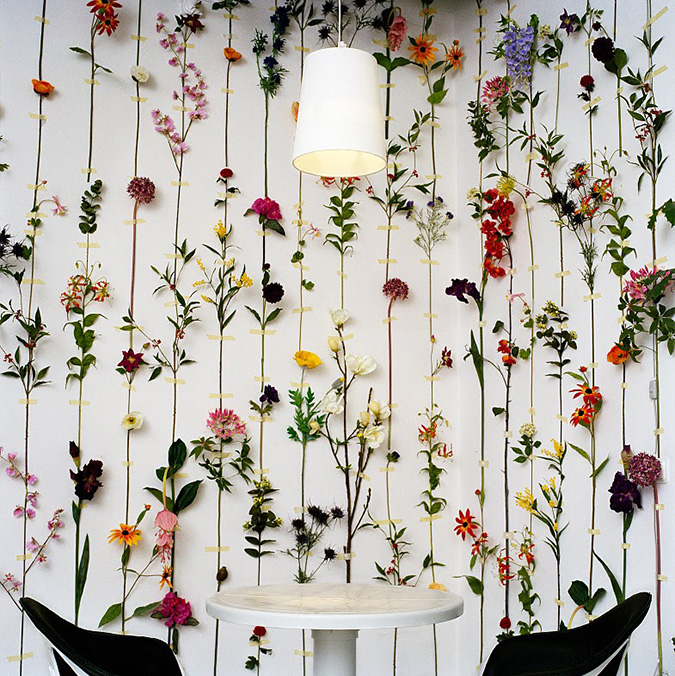 7 gallery 2