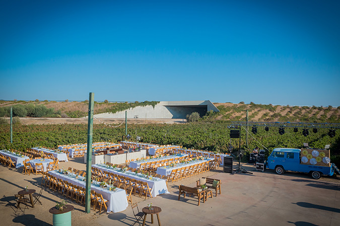 gallery naama11