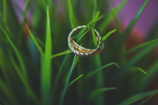 ring gallery 2