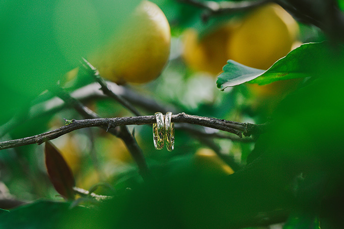 ring gallery 7