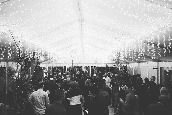 gallery tehila18