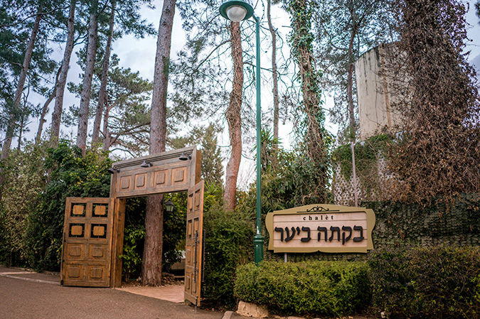 shiri gallery 17