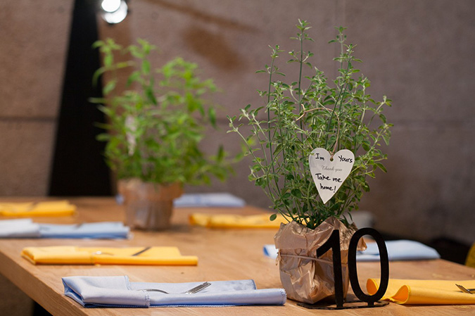 mirpeset gallery 8