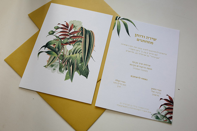 shira gallery 1