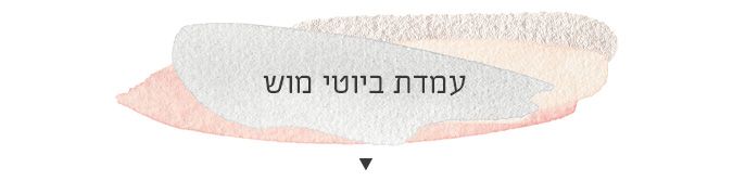 icecream banner
