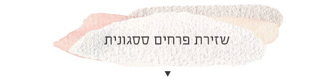 icecream banner