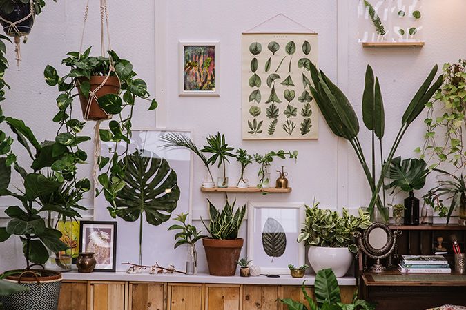 gallery 23