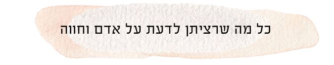all to know adam hava