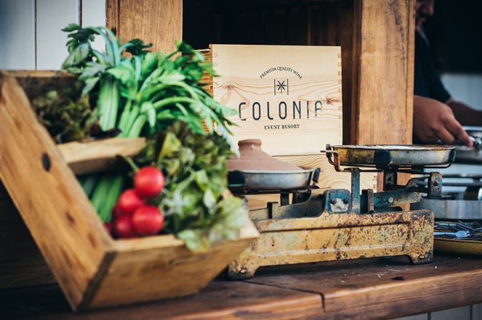 gallery colonia22