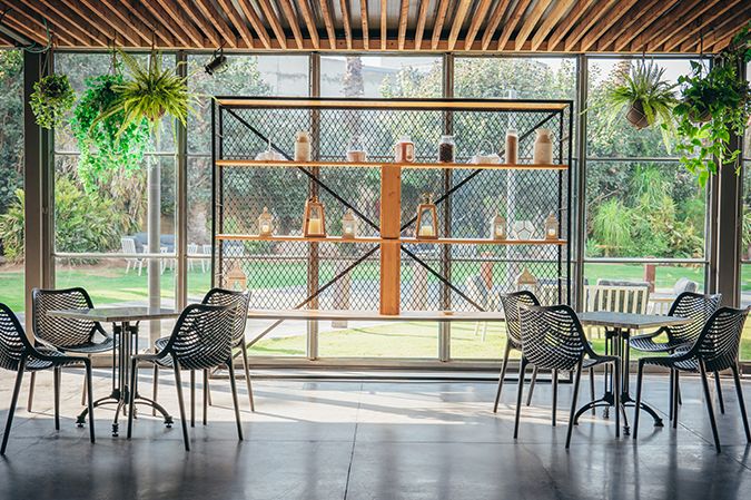 gallery colonia22