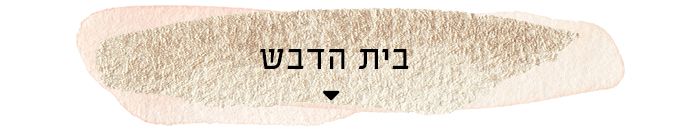 banner dvash