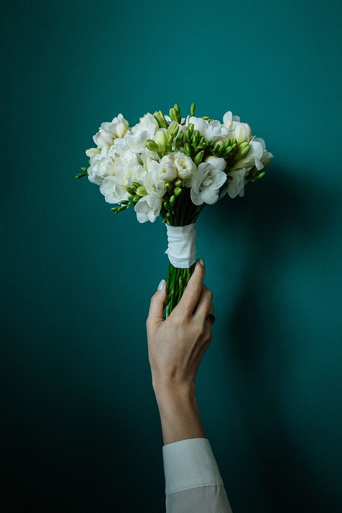 gallery zer1