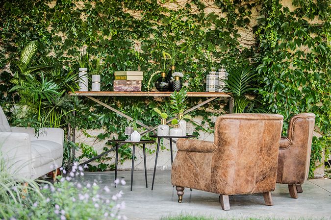 gallery citrus26