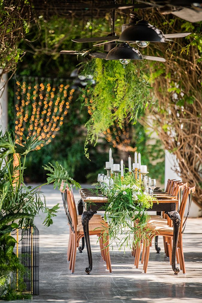 gallery citrus26