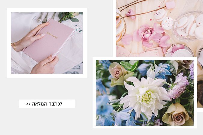 gallery all hatavot
