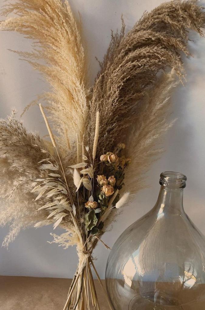 the pampas