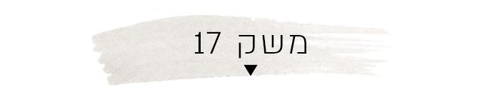משק 17