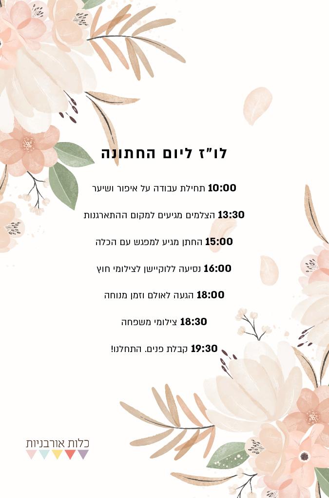 לוז