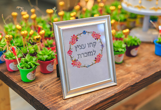 מתנה לאורחים עציץ הביתה