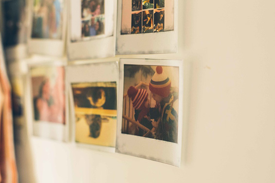 shay gallery 5
