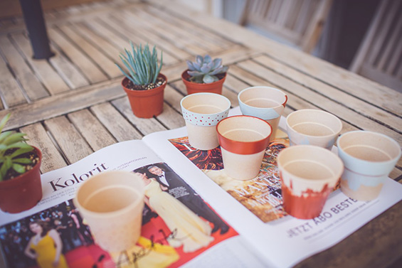 cactus gallery 10