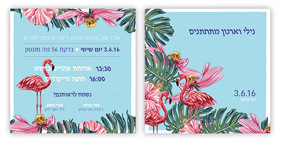 nili gallery 1