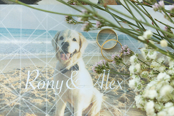 roni gallery 3