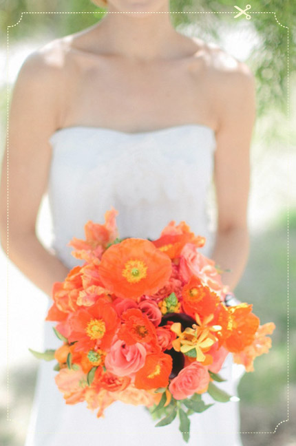 צילום: Troy Grover Photographers