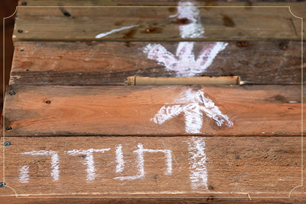צילום: שחר דרורי