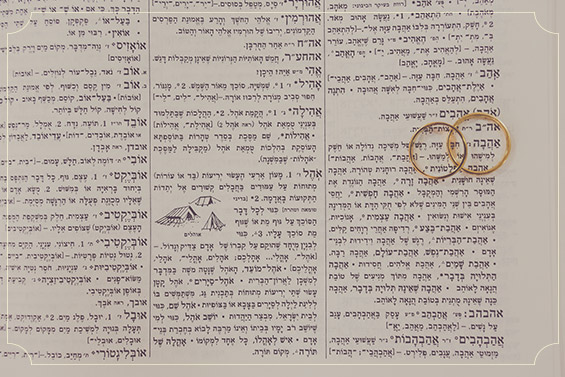 טבעות הנישואין היפות של טוני וזוהר. צילום: עידן חסון.