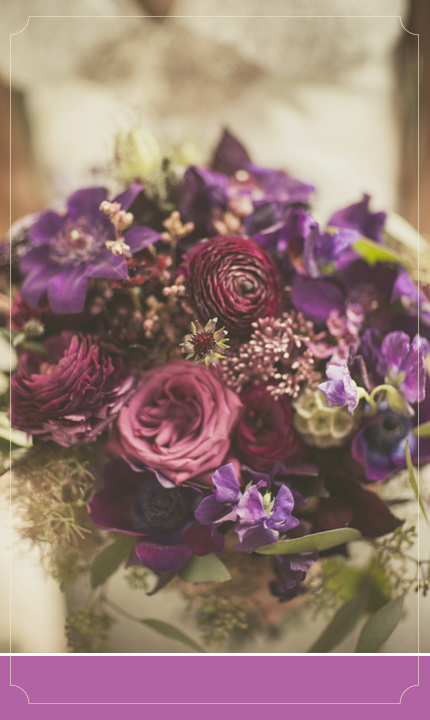 צילום: Amanda McKinnon Photography