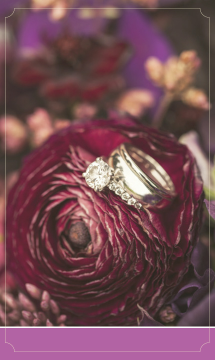 צילום: Amanda McKinnon Photography