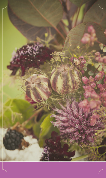 צילום: Amanda McKinnon Photography