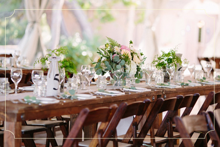 צילום: Shane and Lauren Photography