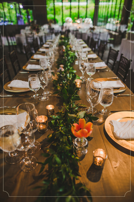 צילום: Teale photography