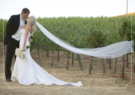 www.projectwedding.com