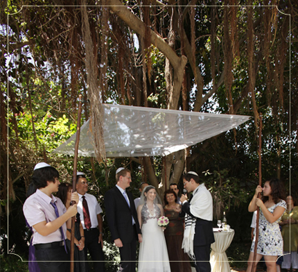 צילום: שחר רובין