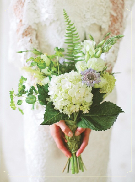 צילום: Heather Roth Photography