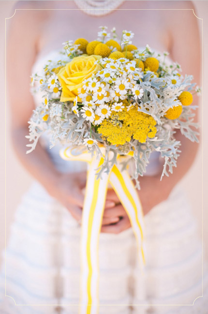צילום:J. Shipley Photography