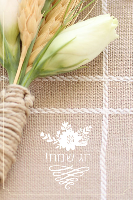 צילום: כלות אורבניות