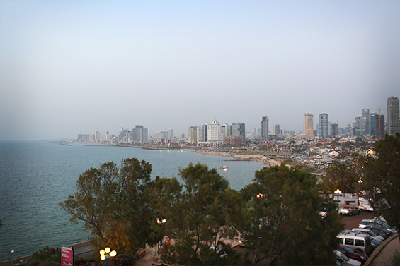 החתונה האלגנטית של ליסה ודניאל