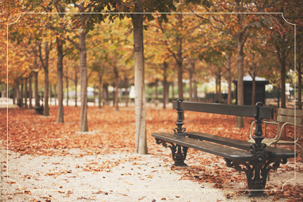 צילום: Paris in Four Months