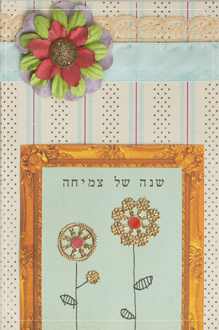 צילום: בארי מן