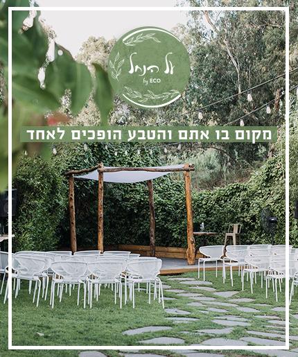 באנר קטגוריה על הנחל 