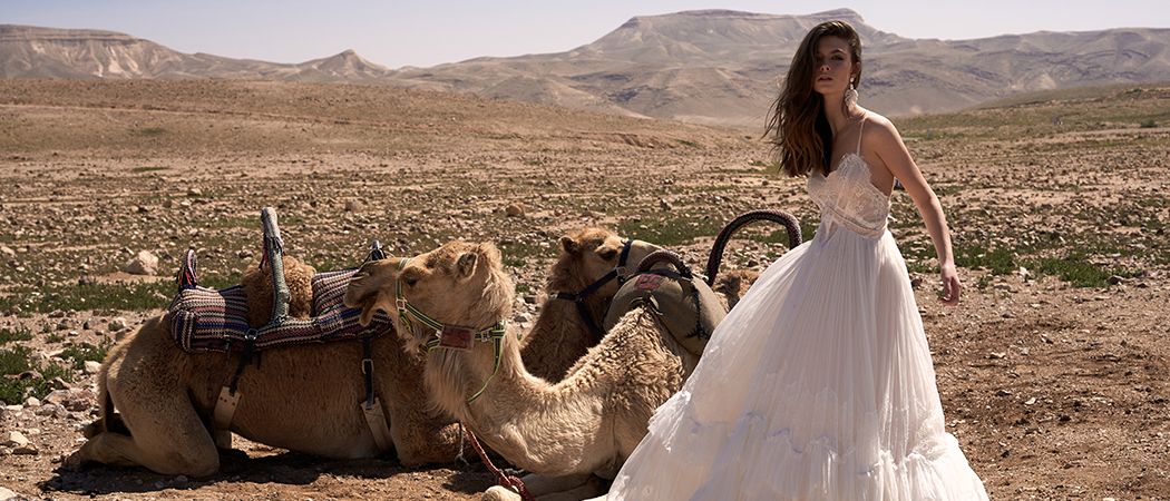 אואזיס של טרנדים מדויקים: הקולקציה של דניאל כוכבי
