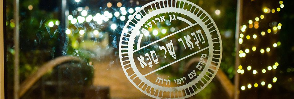 רומנטיקה של חורף: החתונה של אבי ואושרת