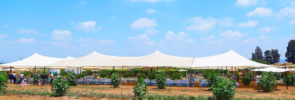 כלות מסכמות 7.8.15