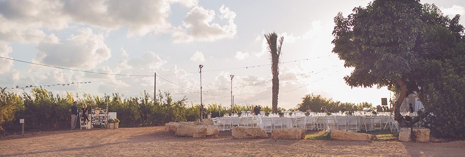 יוצאים מהעיר: חתונת שטח פסטורלית
